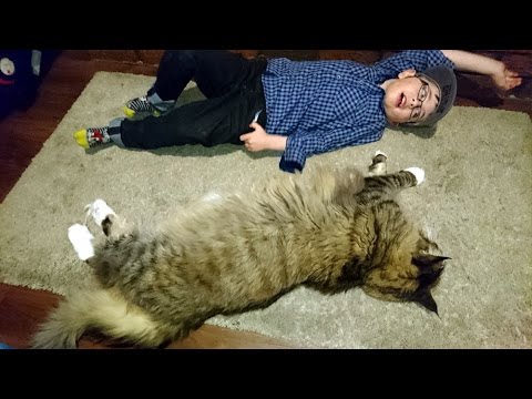 Is this the World's longest cat?