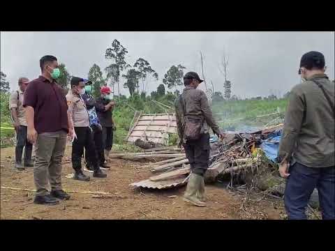 Gubernur Minta Polda Usut Penyebab Kematian Satwa Dilindungi