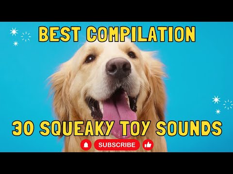 30 squeaky toy sounds | for dogs and babies | Best compilation squeaky dog toy noise #dog #dogtv