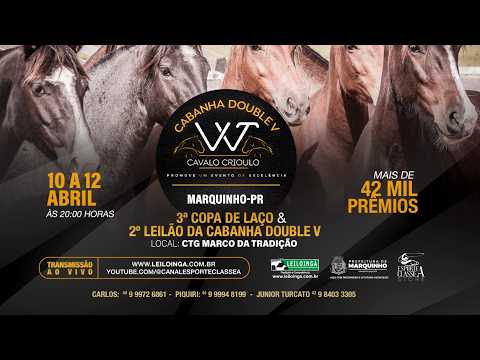 2º LEILÃO DA CABANHA DOUBLE V - CAVALO CRIOULO - MARQUINHO/PR.