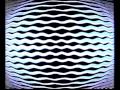 THOMAS FEHLMANN - Banda (I.A.O.O.L.), Interference Berlin
