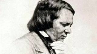 Schumann - L'amour du poete - VII