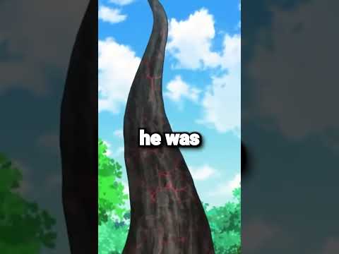 Why did Ash release Greninja? 🤔