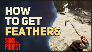 How to get Feathers Sons Of The Forest