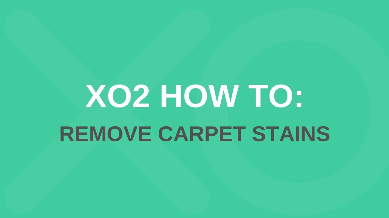 XO2® | How to remove stains from carpet and upholstery