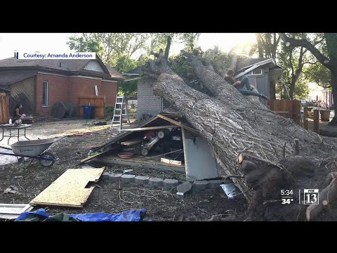 SLC family still recovering from September windstorm