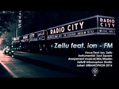 Zellu feat. ion - FM