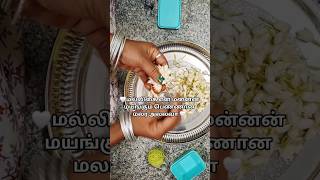 Download lagu 🤍மல்லிகை என் மன்னன் மயங்கும் பெண்ணான மலர் அல்லo #malligaipoo #shortsfeed #short #love #youtube mp3
