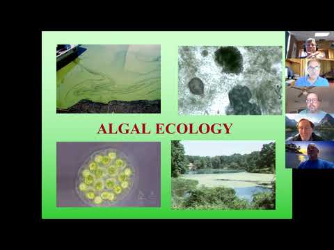 Algal Ecology, Control Methods and CyanoToxins