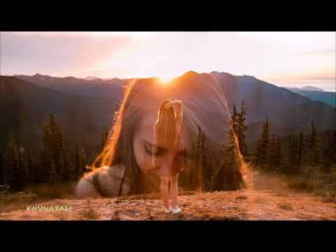 Alivvve - All We Have