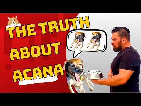 Acana Dog Food Review 2023 | Is Acana Dog Food Good for Senior Dogs?