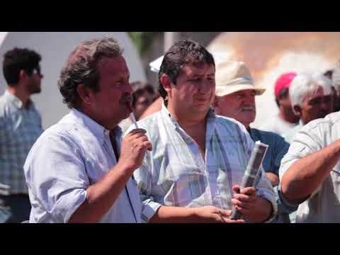 SOWING AND HARVESTING TV: Agricultural Machinery Auction - AgroClasic