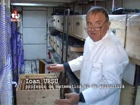 2. Apicultura 1TV : Performanta Bio Stupului in practica cu rezultate