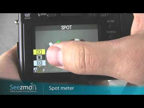 Panasonic GF1: Spot Meter Guide