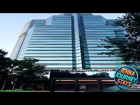 JW Marriott Atlanta Buckhead | Atlanta (GA), United States | Hotel Review 🏩