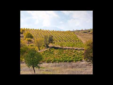 Tale Ognenovski - Tikveško oro