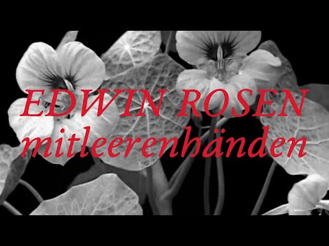 Edwin Rosen - mitleerenhänden (Official Video)