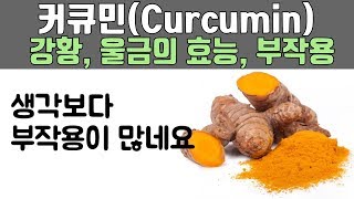 커큐민(curcumin)의 효능과 부작용에 대해서 알아봤습니다 (강황, 울금, tumeric, 차이는? 하루 적정 복용량은??)