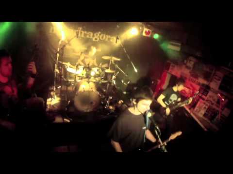 Mandragora - Last Door