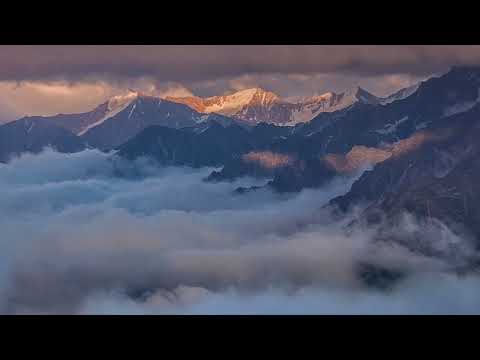 Bli fri från ilska genom acceptans