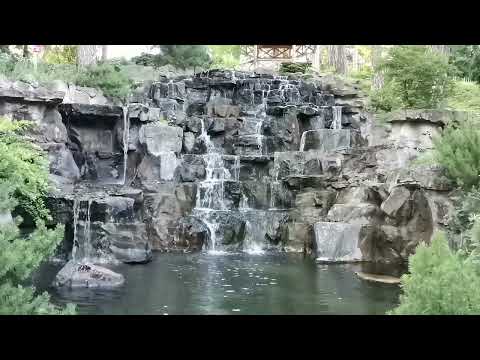 Matrica DR.Petar Garjajev- Musik za obnovu DNK, CELIJA i ORGANAUSPFLANZUNG!