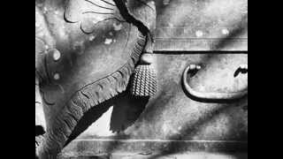 Ludwig Hirsch, I Lieg Am Ruckn * Fans von Austropop*