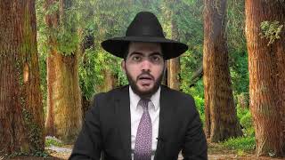 מה דין עגלה או כלים גדולים שנמצאים ברשות הרבים בשבת  | הרב יצחק מאזוז | סימן שמה ד-ו (מוסדות כיסא רחמים) - התמונה מוצגת ישירות מתוך אתר האינטרנט יוטיוב. זכויות היוצרים בתמונה שייכות ליוצרה. קישור קרדיט למקור התוכן נמצא בתוך דף הסרטון