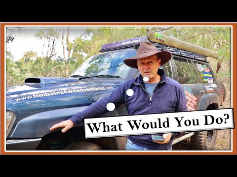 River Crossing Tips - ( What Would You Do )