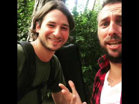 The designated driver - THE RETURN