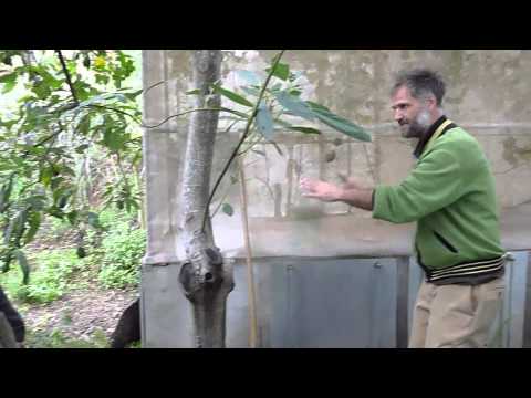 Finca Autarca   Terra Preta herstellen