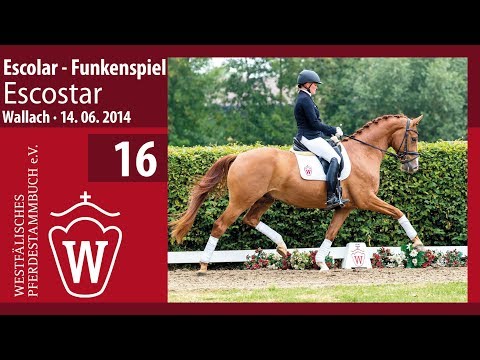16 Escostar. Wallach v. Escolar - Funkenspiel