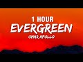 [1 HOUR] Omar Apollo - Evergreen (Lyrics) | You Didn't Deserve Me At All
