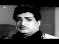 NT Rama Rao Is Regretting Marina Manishi Movie Scene Saventertainments