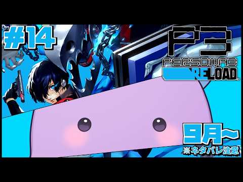 【P3R】9月後半!タルタロスの新エリアを攻略していく【ペルソナ3リロード/個人Vtuber】