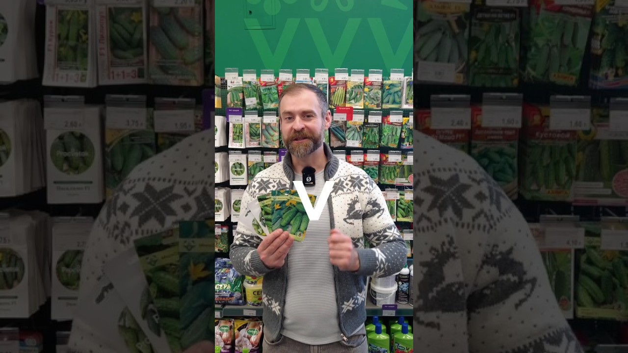 С этими сортами урожай огурцов отличный даже в открытом грунте!