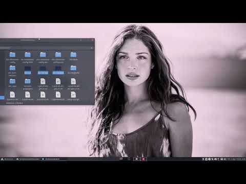 ArcoLinux : 1933 ALCI - Building Alci-iso-dev 2/3