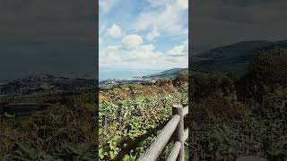 小樽 毛無山展望台 오타루 대머리산 전망대