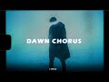 Thom yorke  • Dawn chorus (Lyrics) │ If you could do it all again