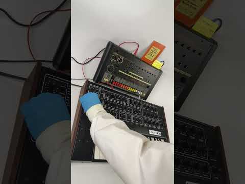 Patrick Cowley Sequential Circuits Pro-One synthesizer + Roland TR-808 refurbished by Tone Tweakers