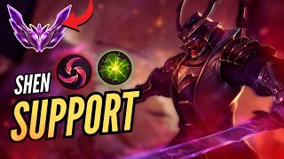 EDUCATIONAL SHEN SUPPORT DAY
