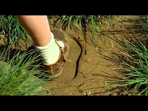 Trailer-Vorschau: Das Wunder der Natur