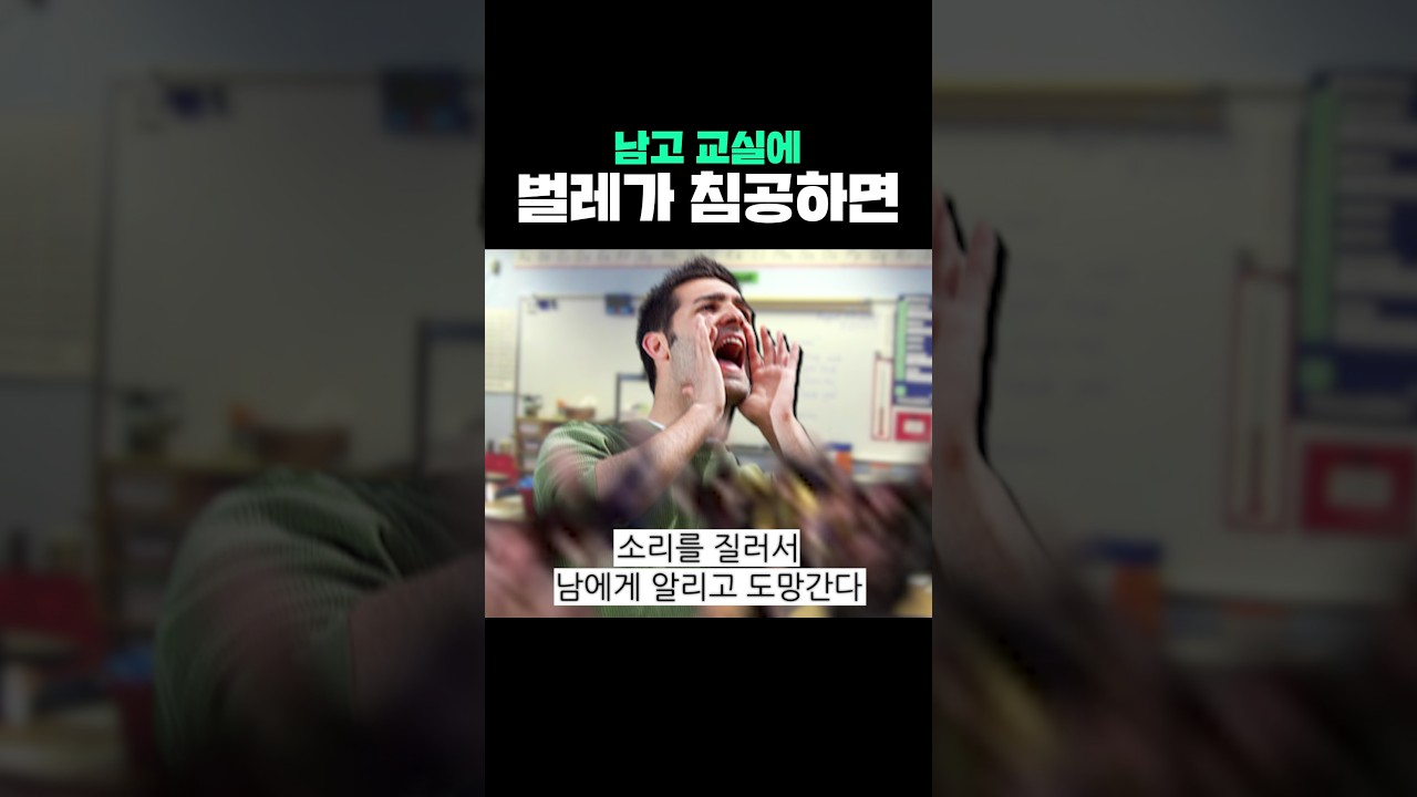 남고 교실에 벌레가 침공하면