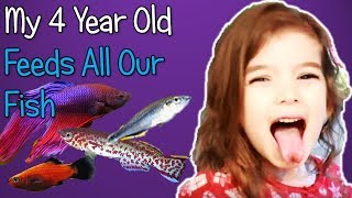 My 4 Year Old Helps Me Feed Our Fish!
