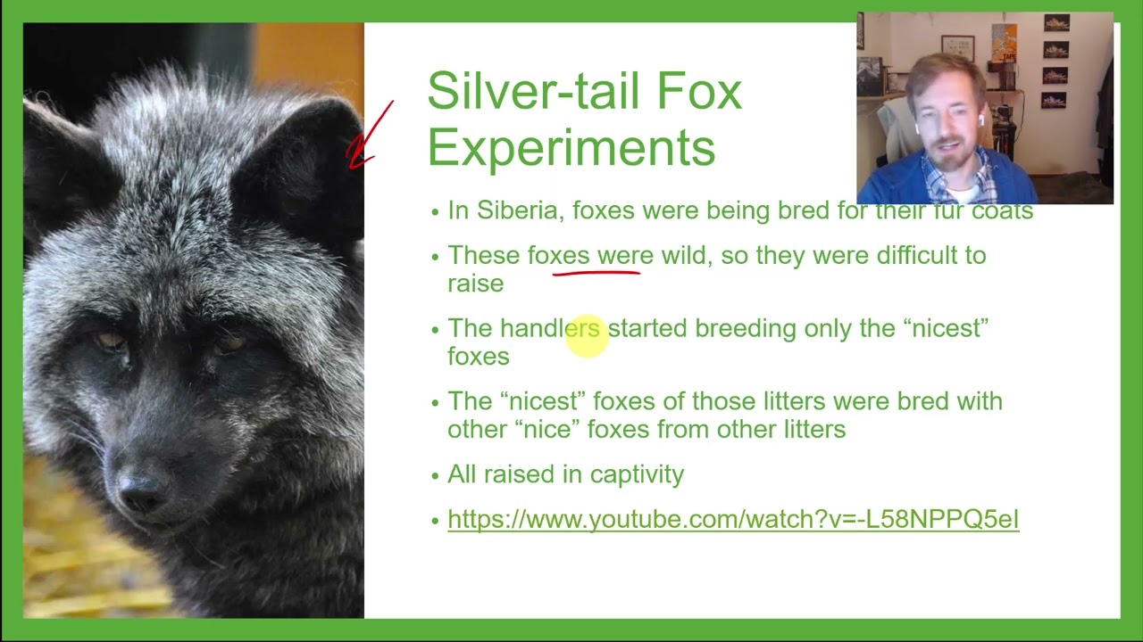 PSYC 101: Chapter 3: The Biological Basis of Behavior (Nervous Systems, Brains, and Neurons)