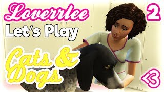 Cats & Dogs #2: Medi Shedi