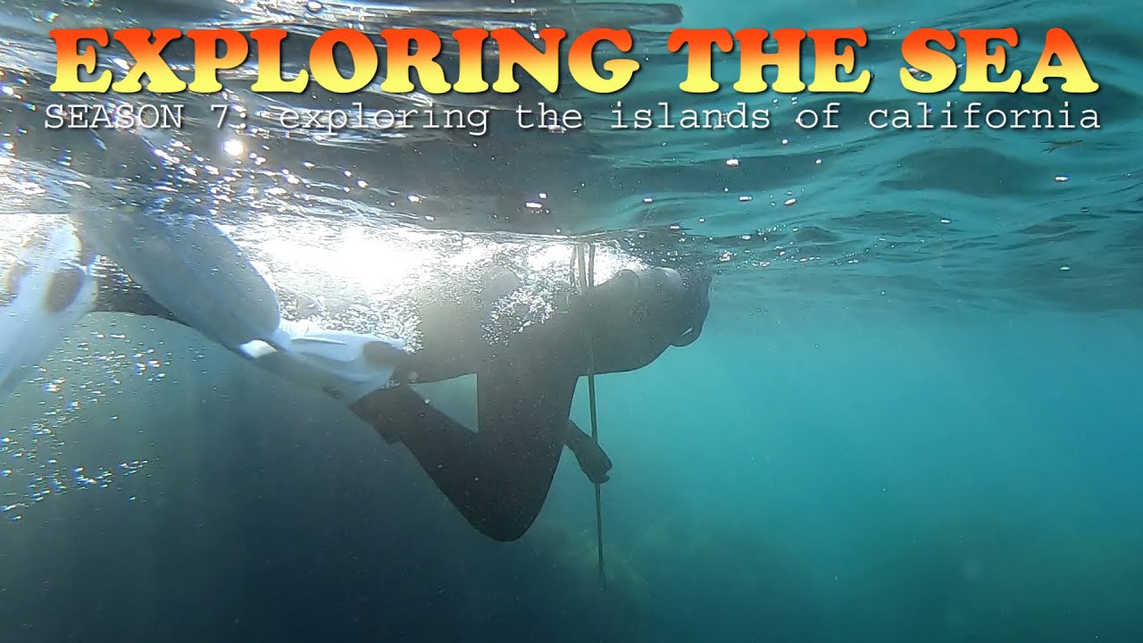 Exploring Sea at Cabrillo Harbor on Catalina Island and Meeting Emerald Steel