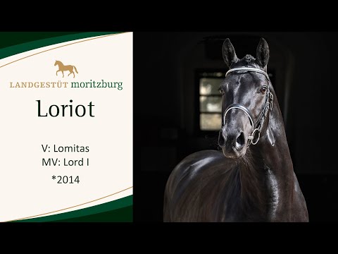 LORIOT v. Lomitas - Lord I