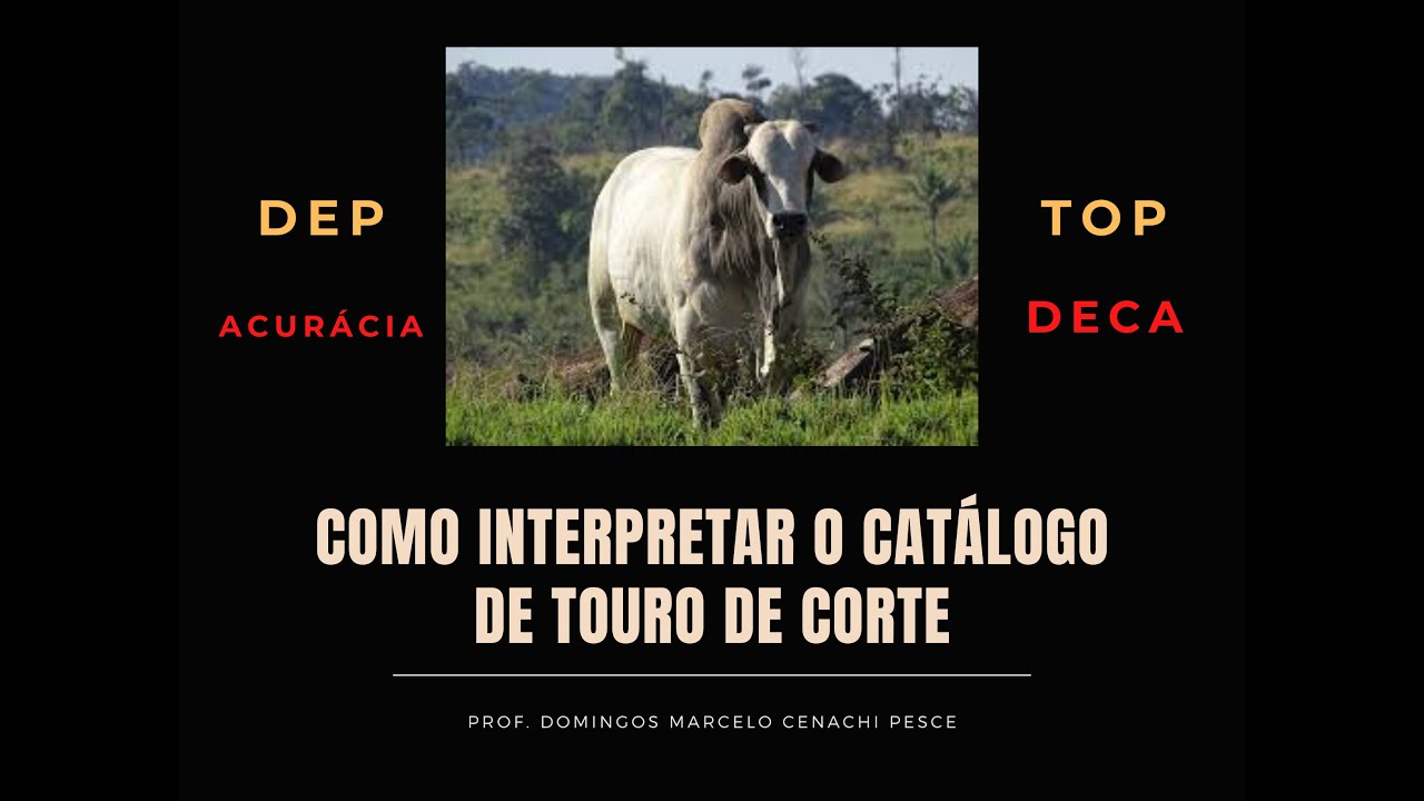 Como interpretar o catálogo de central de I.A. de touros de corte