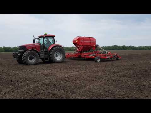 Puma 210 + Horsch Pronto NT 8 посів ріпаку