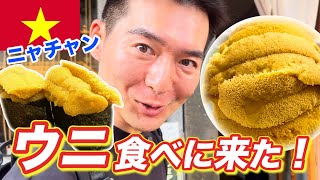 【ベトナム・ニャチャン】穴場リゾート最高峰‼️東洋のハワイで絶品ウニ✨JWマリオット宿泊レビュー